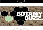 Botany Buzz
